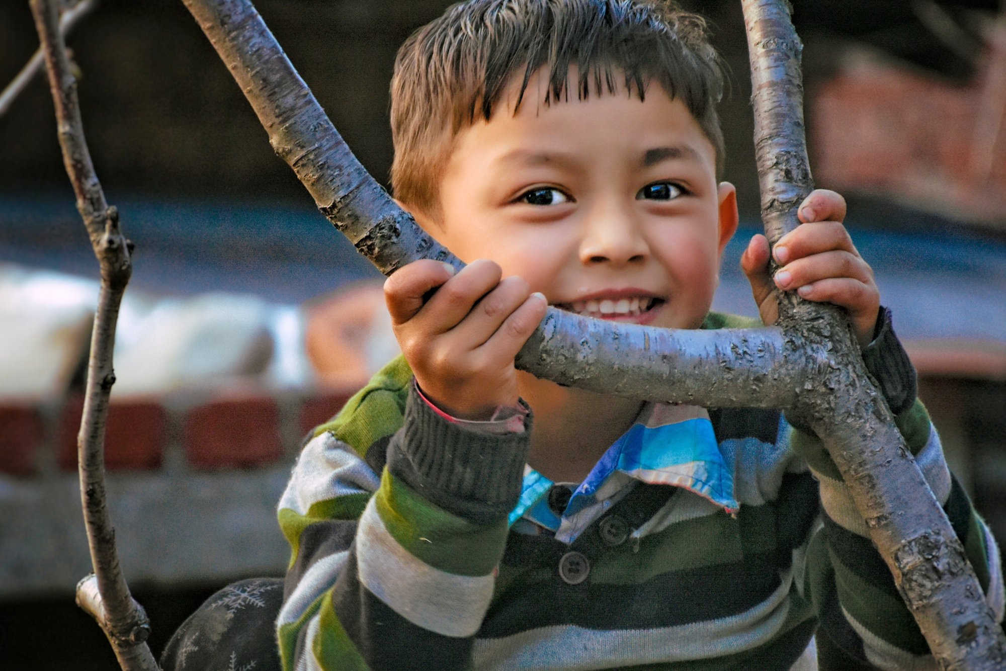 A little boy crouches behind some branches and laughs.
