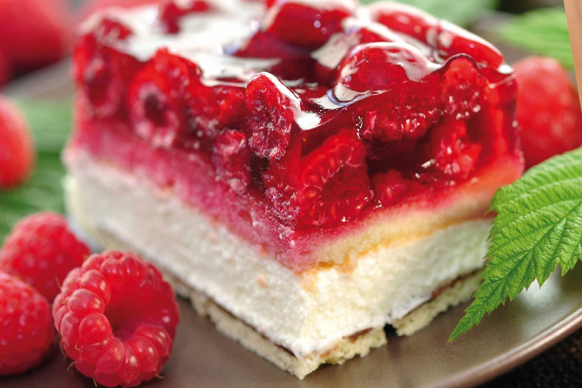 Piece of raspberry cake at Café insgrüne Harburg