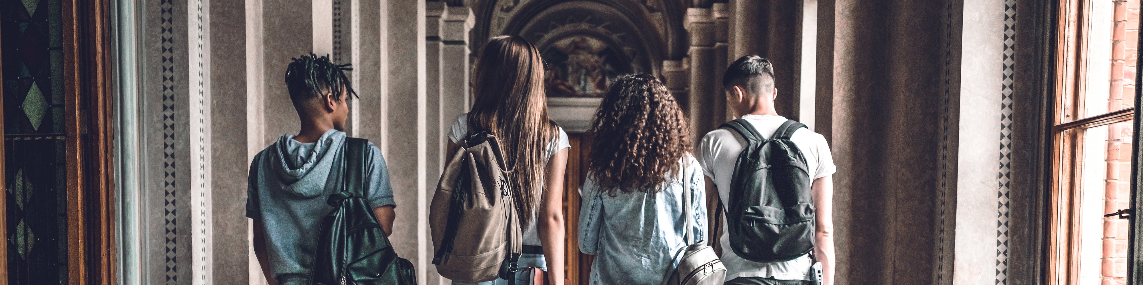 International students with backpacks, rear view