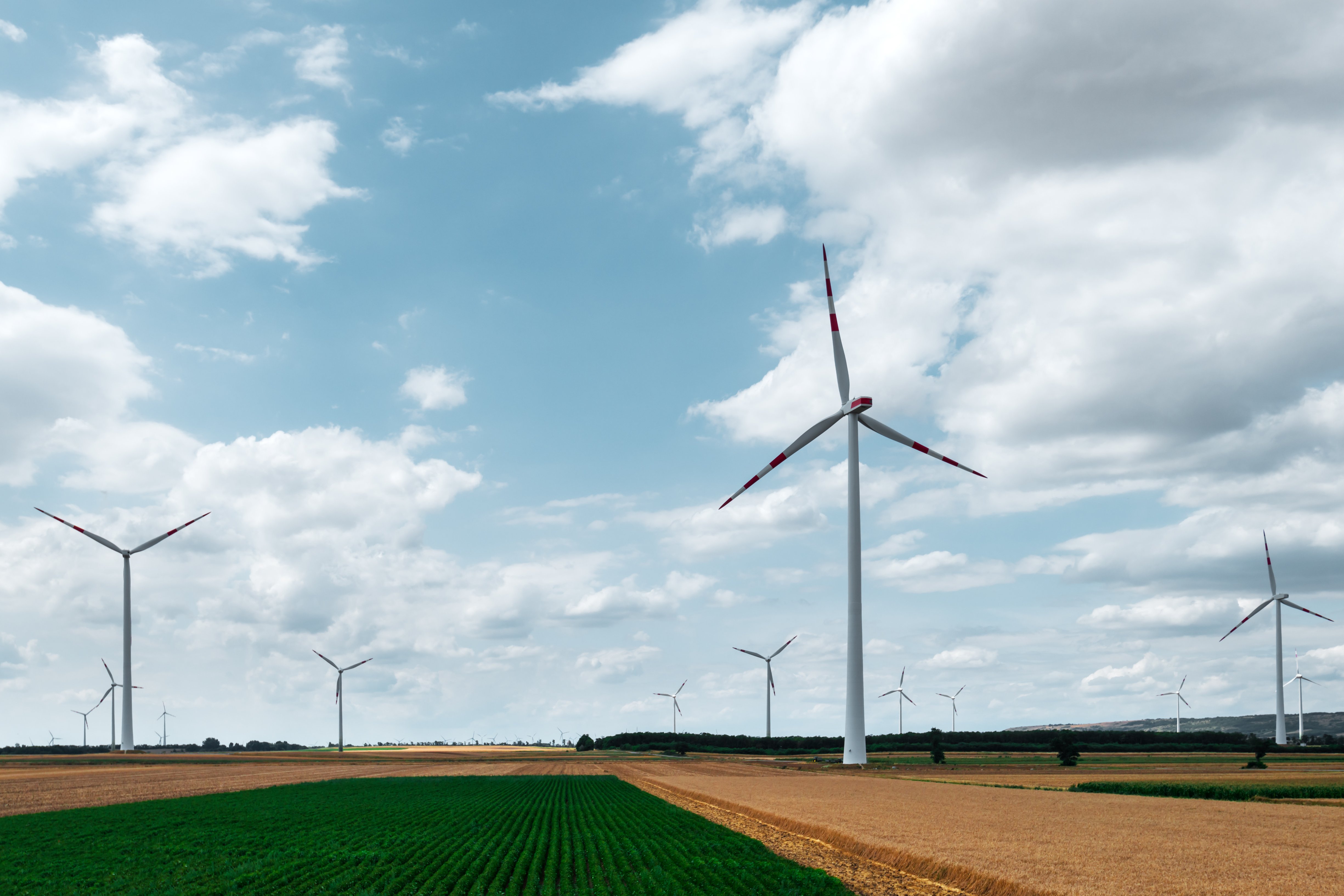 Windräder auf einem Feld