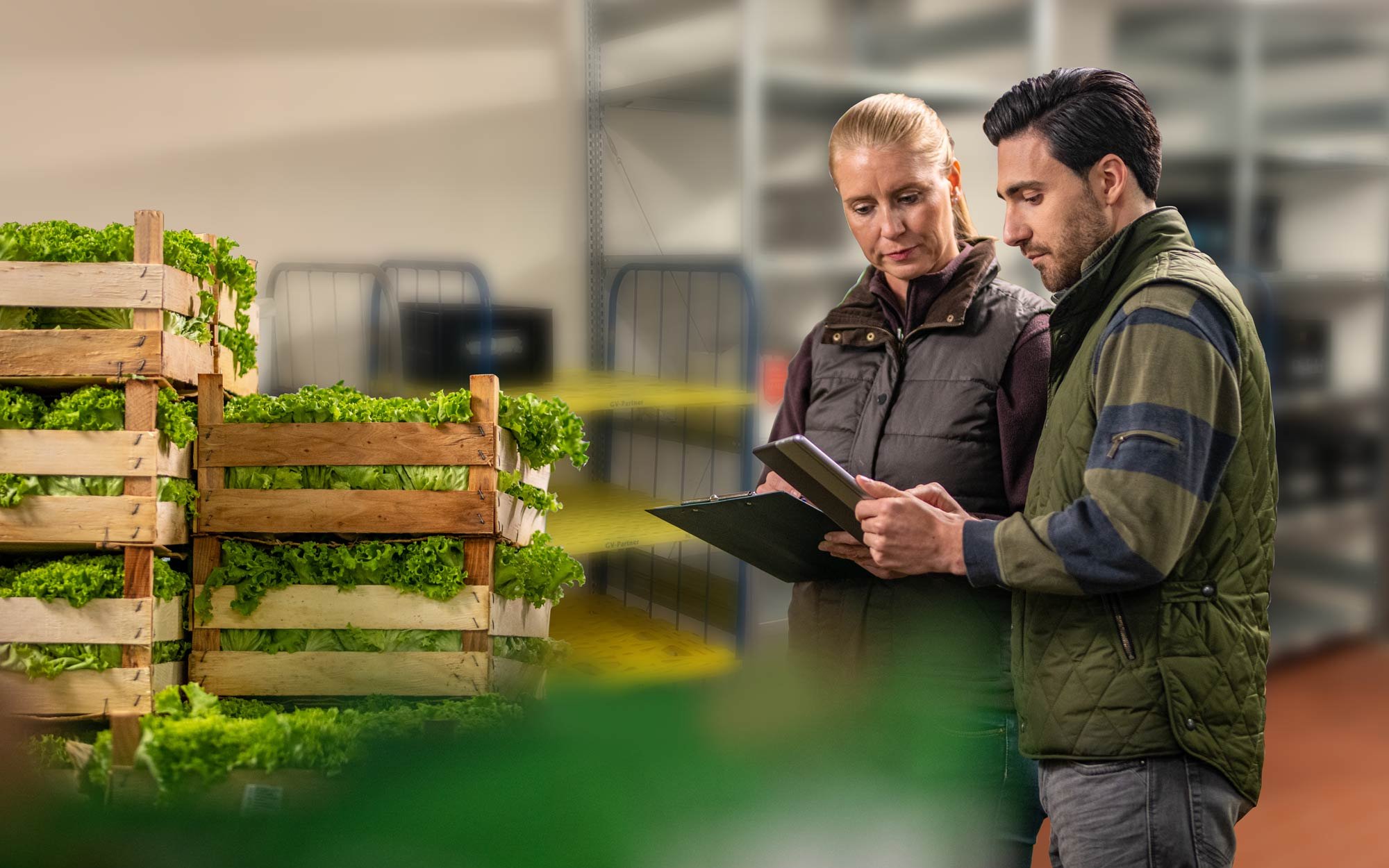 Mann und Frau stehen vor gestapelten Holzkisten mit grünem Salat