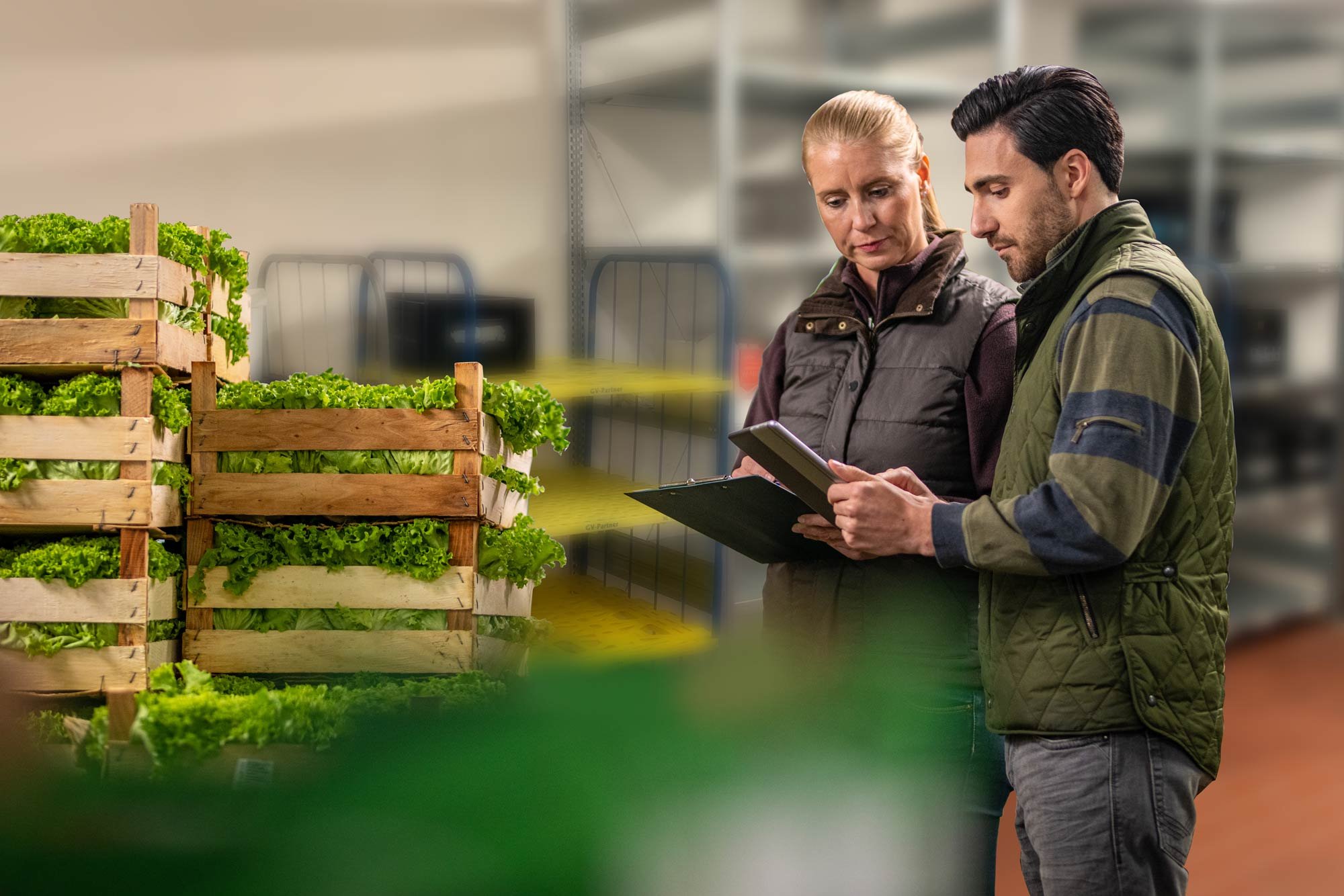 Mann und Frau stehen vor gestapelten Holzkisten mit grünem Salat