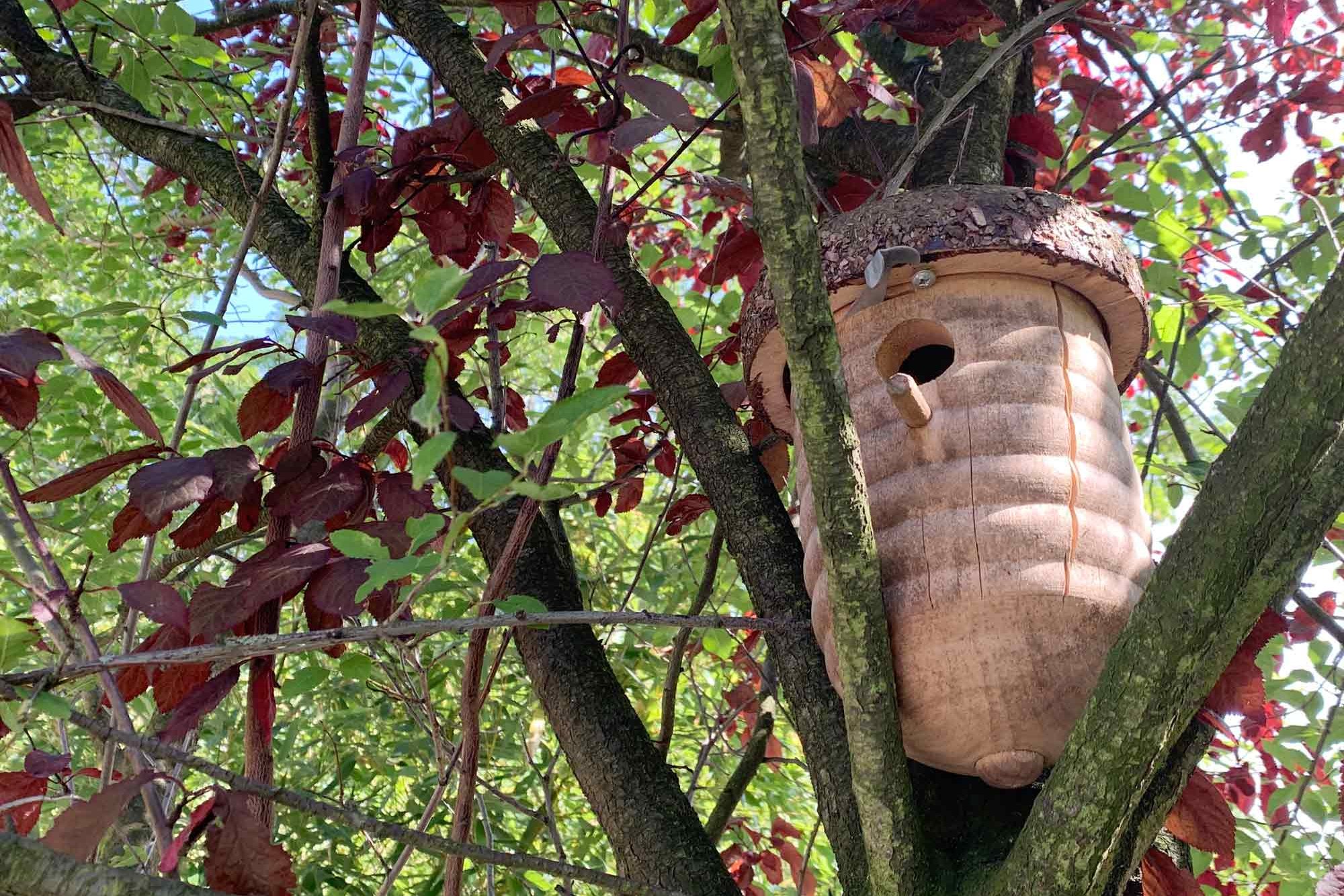 Birdhouse in a tree at the KinderCampus daycare center.