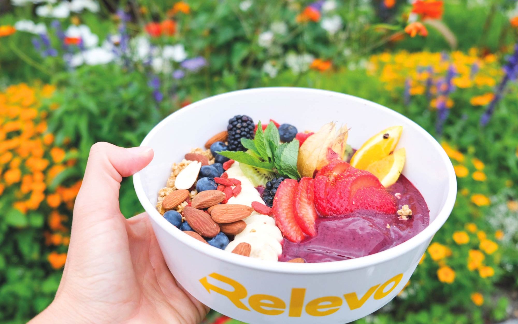 Mehrwegschale mit Joghurt und Früchten