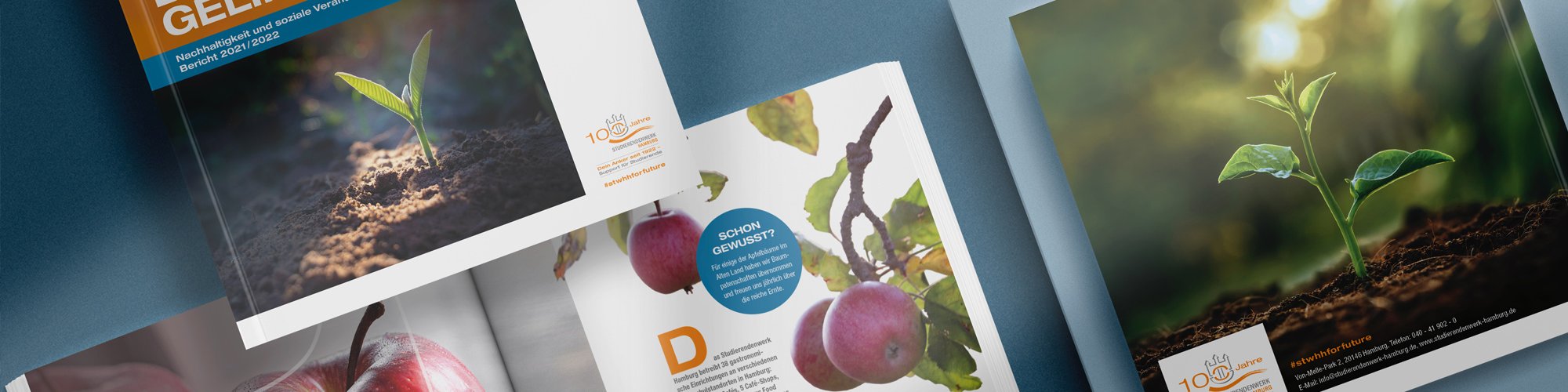 Sustainability report by the Studierendenwerk Hamburg