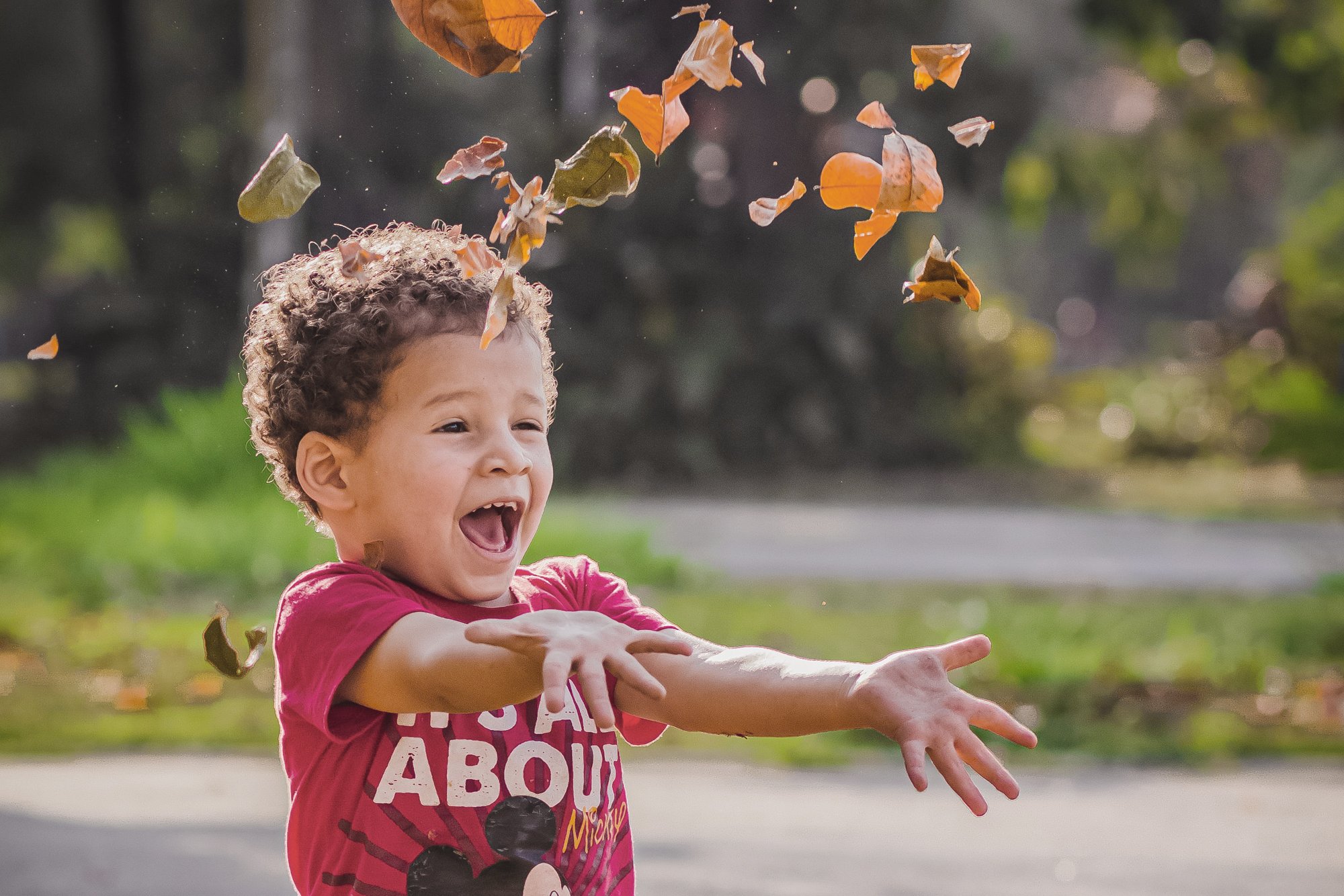 Little boy playing with leaves